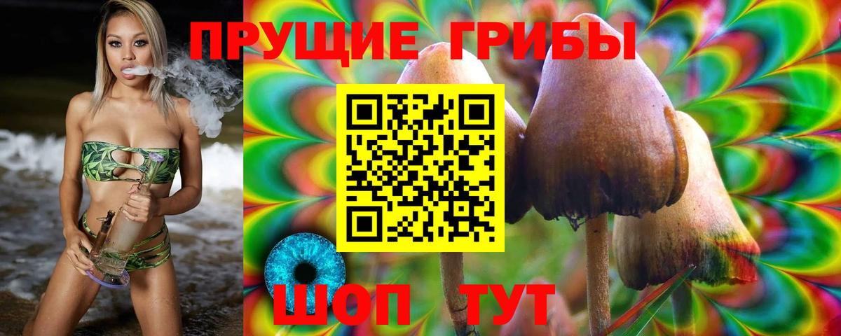 Галлюциногенные грибы ЛСД  Вход с VPN  Галлюциногенные грибы MAGIC MUSHROOMS  Большой Камень 