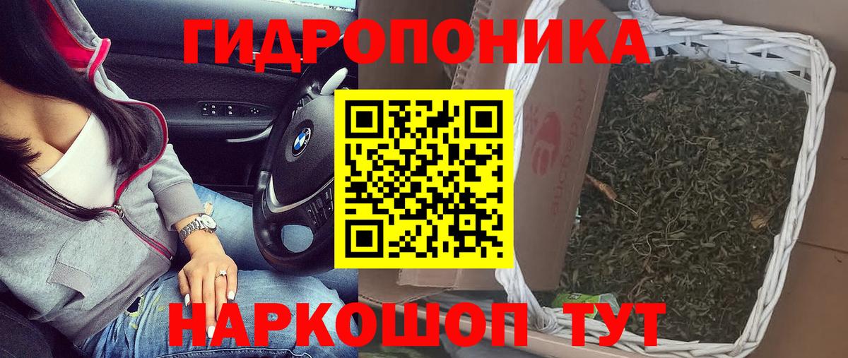 Канабис семена  Вход с VPN  Большой Камень  Бошки Шишки семена 